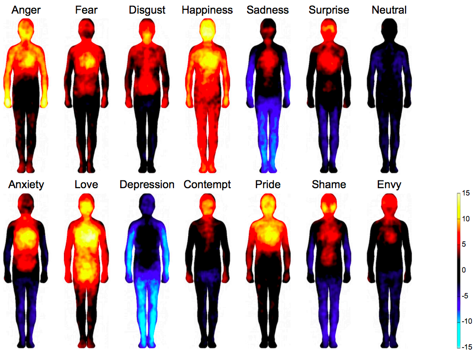 Bodily maps of emotions collected with the emBODY tool