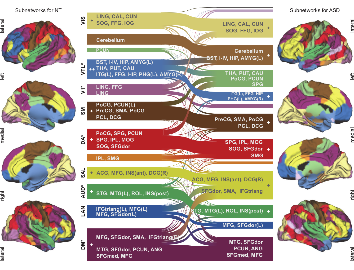 Autism Spectrum Disorder - Brain Network Reorganization