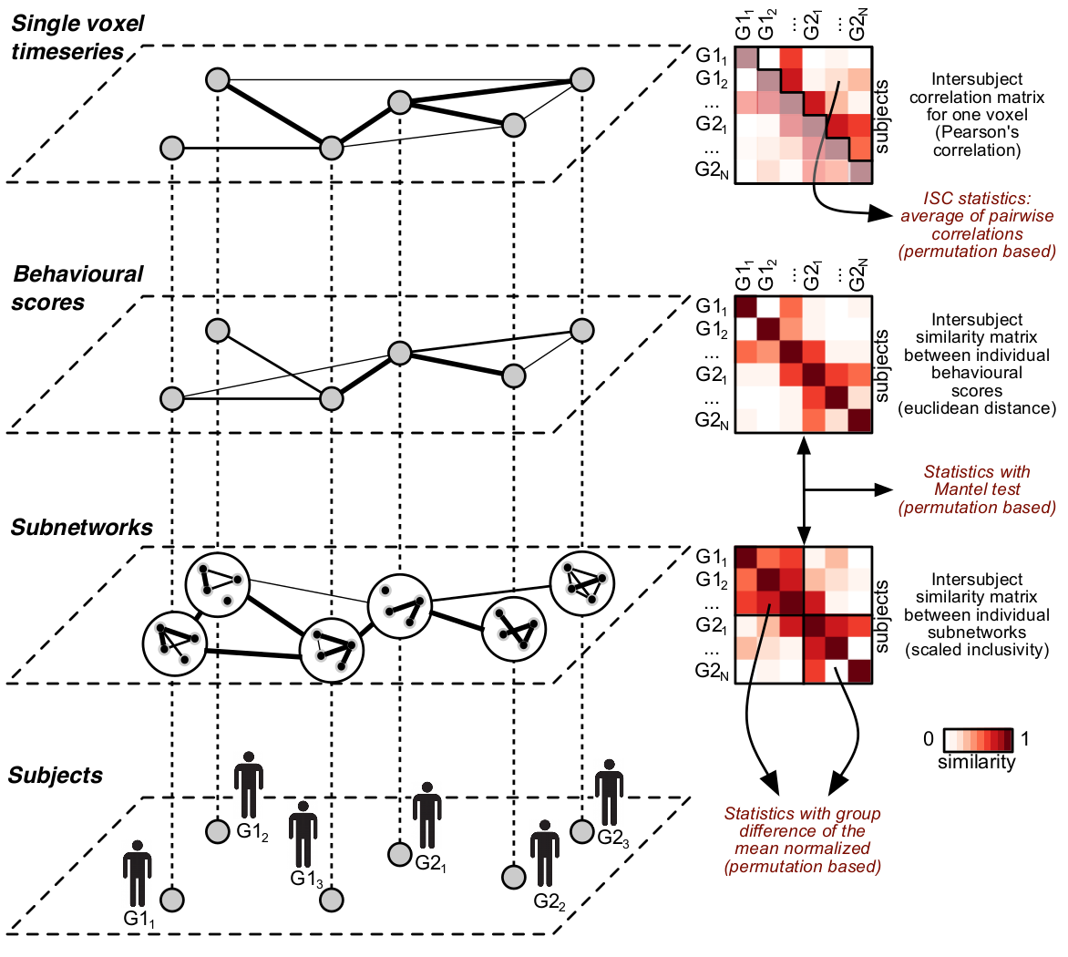 Intersubject Analysis framework - Combining brain and behaviour across individuals